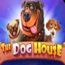 The Dog House